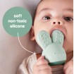 Bbox Chill and Fill Teether Sage